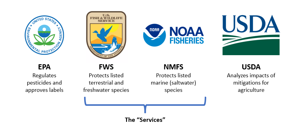 Government Agencies Involved in ESA Pesticide Regulation