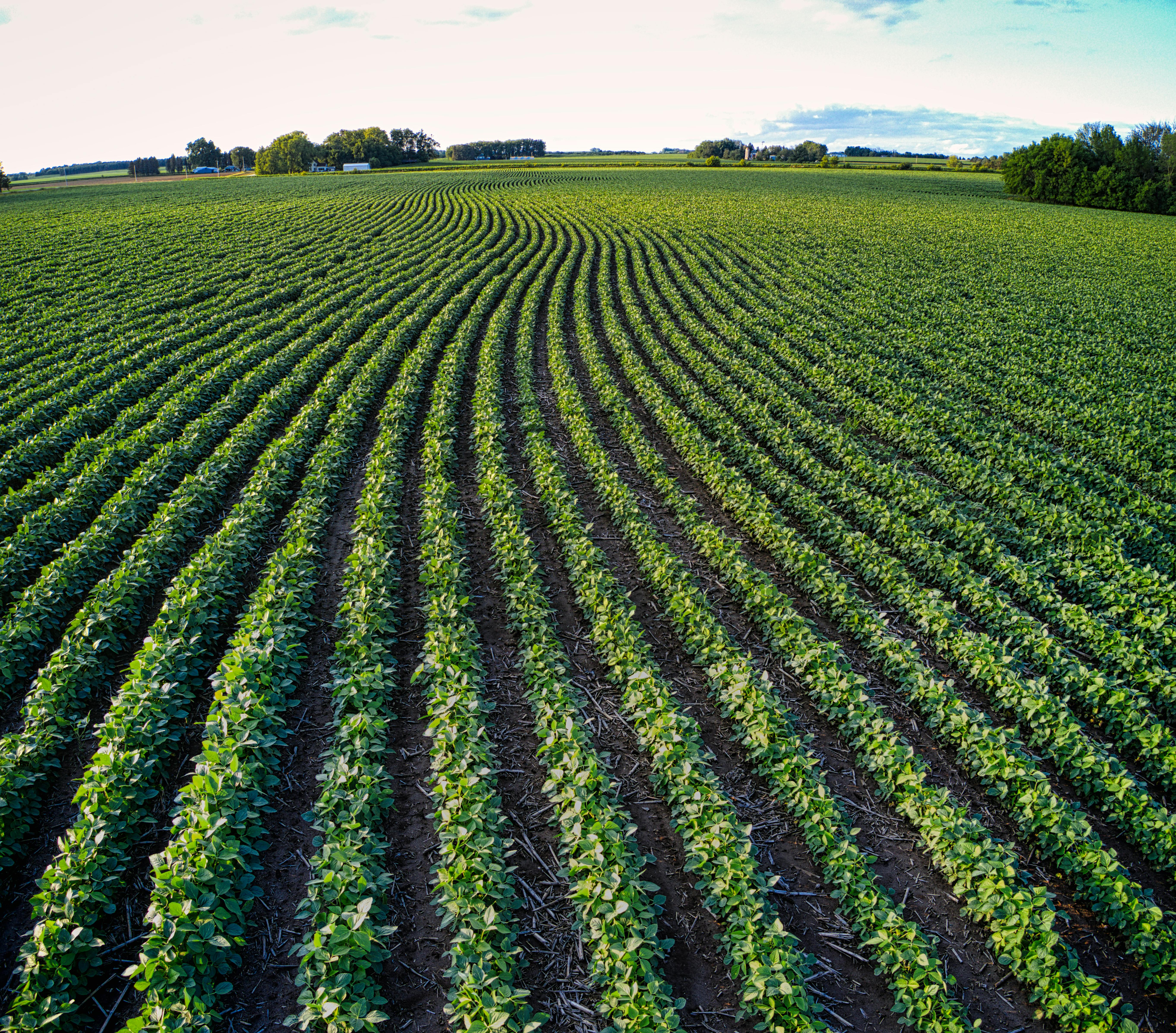 Dicamba OTT Is Back for 2026 — With Significant ESA Changes